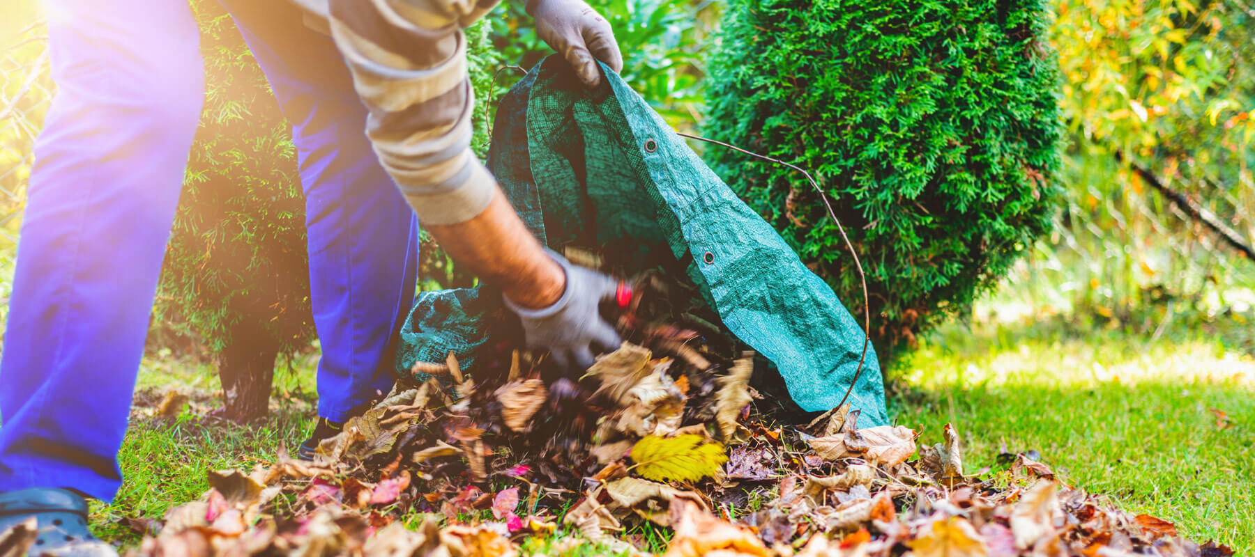 Spring Fall Cleanup Main Banner